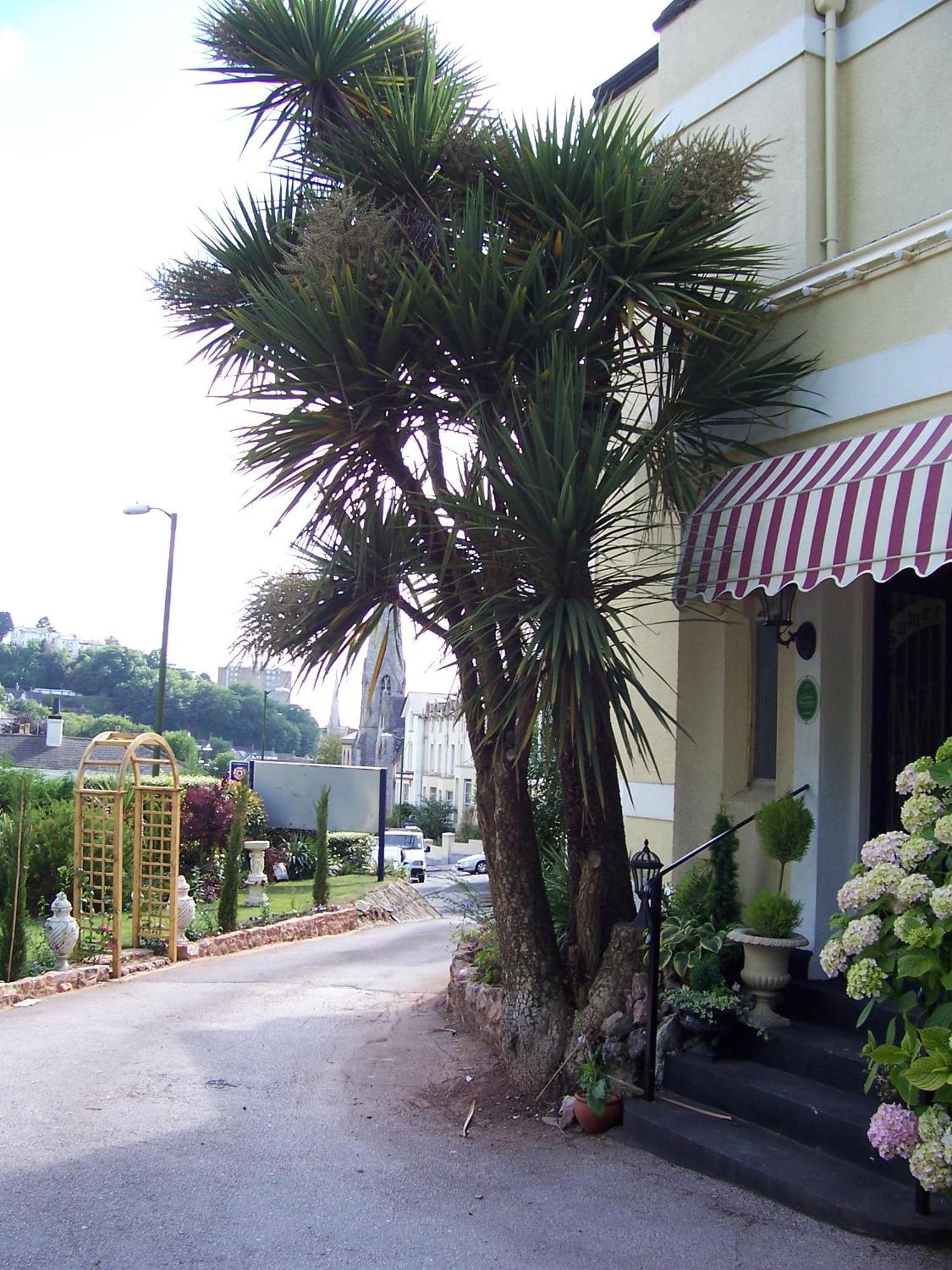 The Somerville Torquay Exterior photo